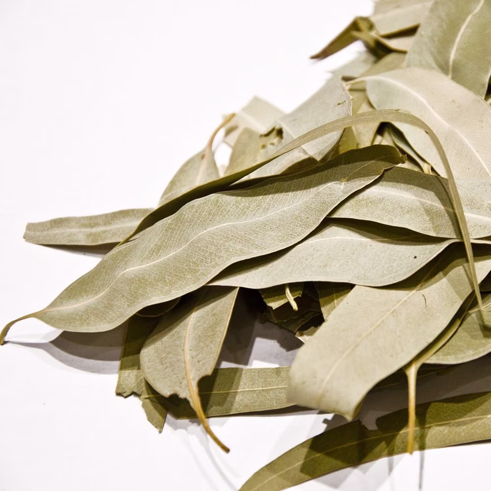 Dried Eucalyptus/Leaves 100% Organic Wicca Witchcraft Herbs