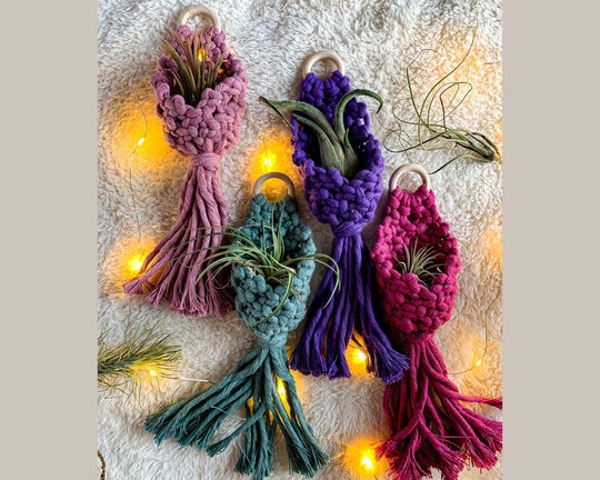 Macrame Air Plant Hanger, Pod, Fun Home Decor, Wall Holder, Mini Hanger