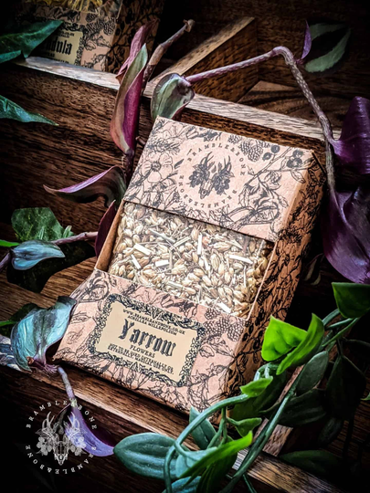 Yarrow Flowers - Organic | Dried Magical Herbs For Traditional Witchcraft & Folk Magic Protective, Money, Ancestor, Necromancy, Divination