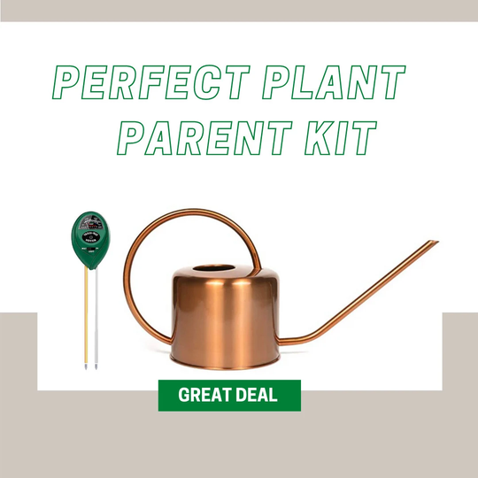 Watering Can With Moisture Meter | Perfect Plant Parent
