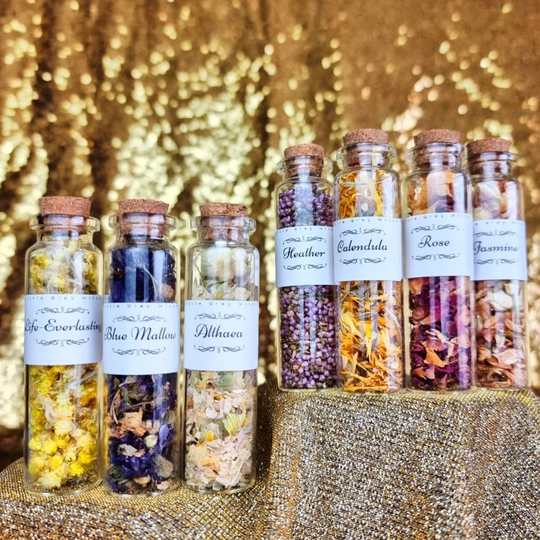 Essential Flower Box For Hoodoo, Rootwork, Conjure Folk Magic, New Orleans Voodoo & Witchcraft