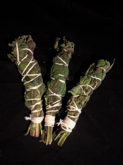 Clary Sage Herb Bundle