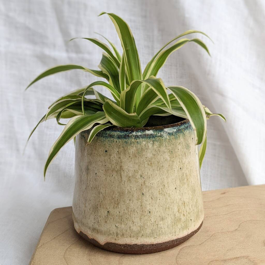 Handmade Sage Green Planter