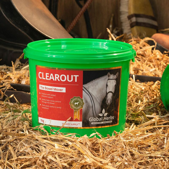 Global Herbs - Clearout - 1 Kg - CLEAROUT1KG