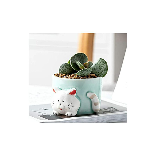 Echoo - Mini Ceramic Flower Pots with Cute Animal Pattern - For Home, Office, Decorating Family, Friends, Coworkers.Katze , Blue