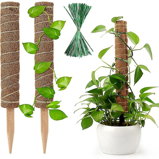 2pcs Coir Stems, 40cm Monstera Plant Stand, Indoor Cheese Plant Moss Stems