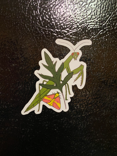 Moth & Mantis Magnet