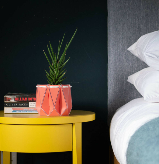 Origami Self Watering Eco Plant Pot: 10cm - Coral
