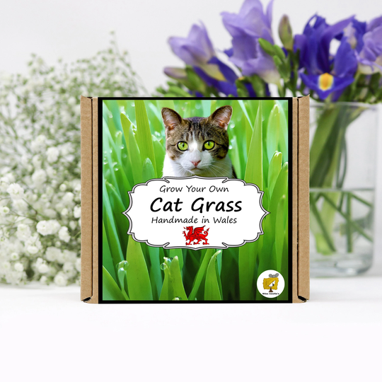 Grow Your Own Cat Grass Plant Kit. Grass Seeds Growing Kit. Gardening Gifts For Women, Men, Him, Her, Grandad & Children
