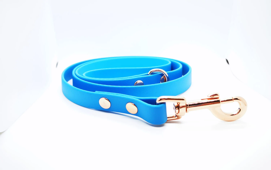Sea Salt Biothane Puppy/Dog Lead With Rose Gold Or Stainless Steel Fittings - 16mm Wide | 1.6cm