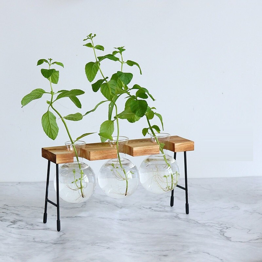 Diy Glass Propagation Bulbs Vase With Wood Stand | Hydroponic Plant Station Wooden Bulb Vase