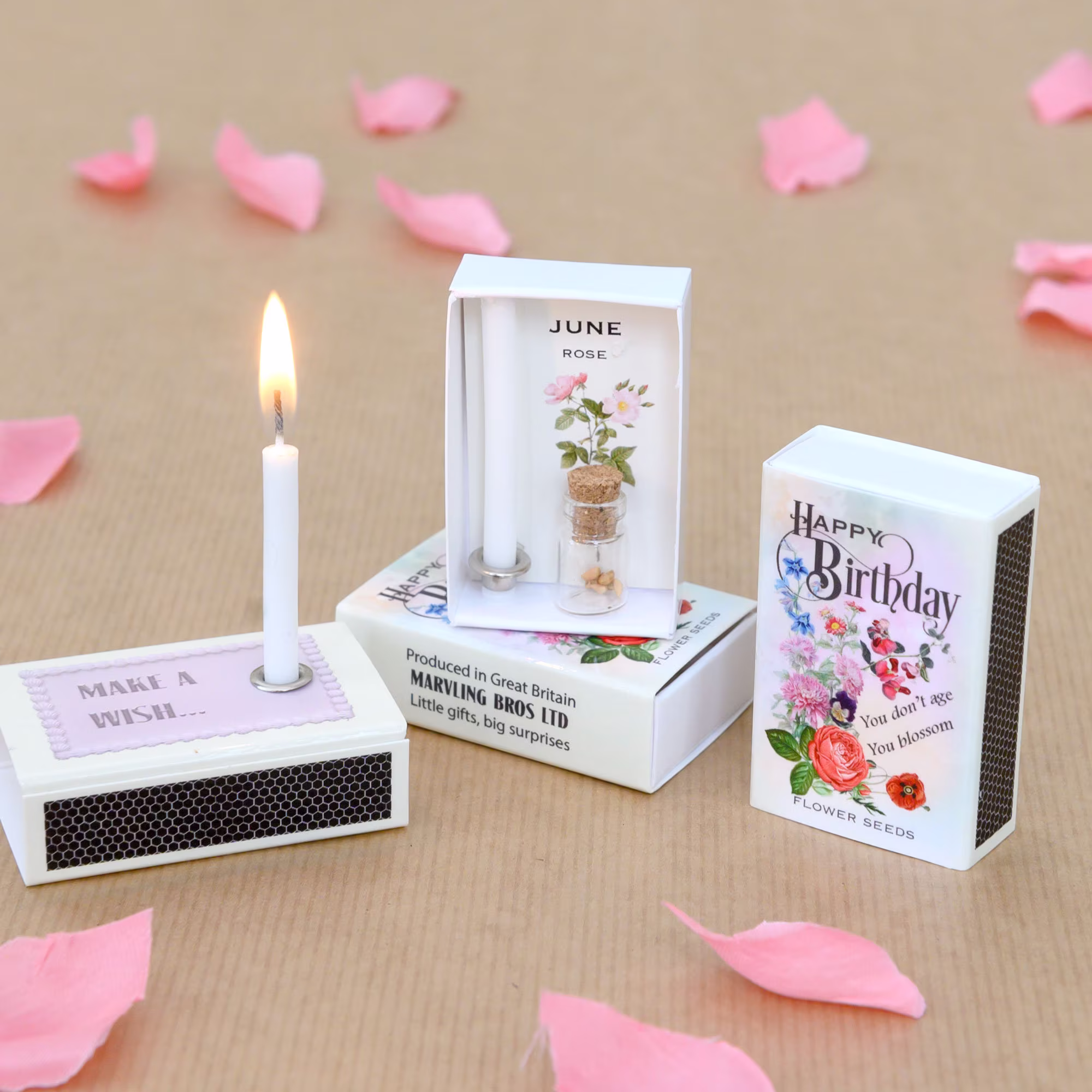 June Birth Flower Seeds in A Matchbox, Birthday Gifts For Her, Card Rose
