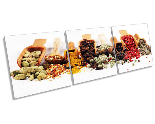 Spices Herbs Berries Kitchen Picture Canvas Wall Art Three Panel Print