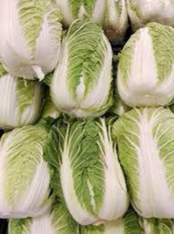 Michihili Cabbage Seed Pack - Heirloom Vegetable Seeds