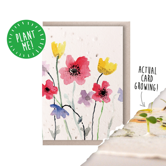 Plantable Seed Paper Card/Poppy Meadow Watercolour Biodegradable & Sustainably Made 100% British Wildflower Seeds