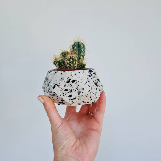 Indoor Plant Pot - Terrazzo Planter, Monochrome Plant Pot, Succulent Pot, Jesmonite Small Gift, Home Decor