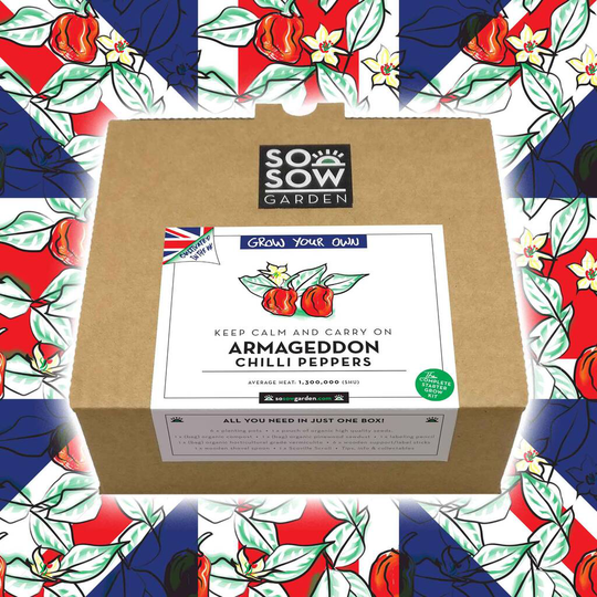 Armageddon Chilli Pepper Grow Your Own Kit