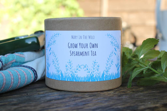 Grow Your Own Spearmint Tea