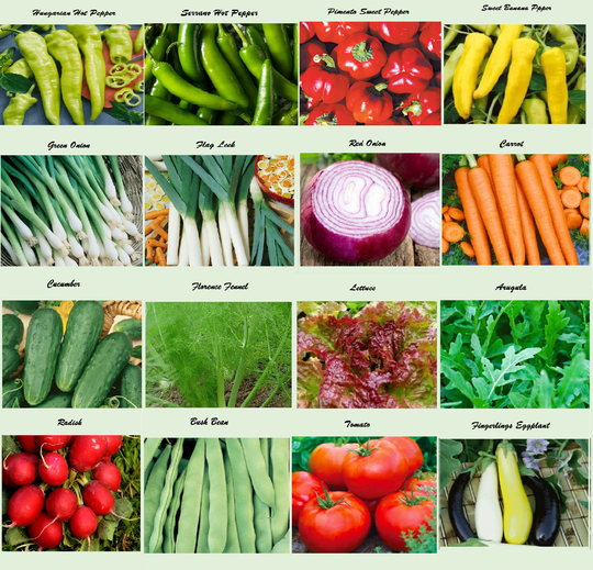 Set Of 16 Assorted Organic Vegetable Seeds & Herb Varieties Create A Deluxe Garden Heirloom 100% Non-Gmo
