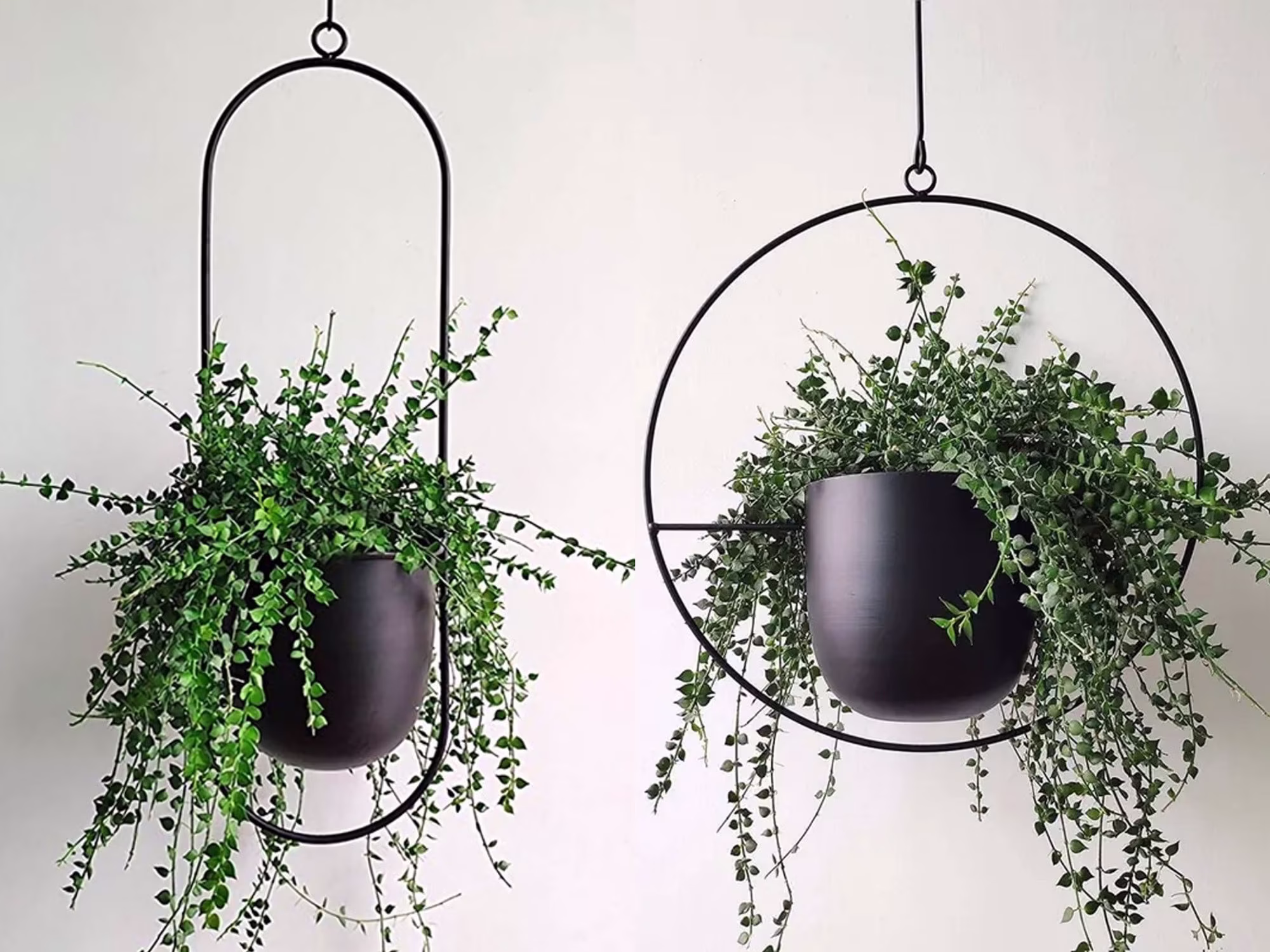 Hanging Iron Planter, Metal Pots, Modern Minimalist Plant Hanger, Nordic Succulent Cachepot, Swing Flower Basket, Round & Oblong