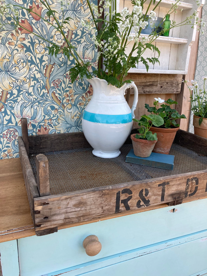 Vintage Seed Tray