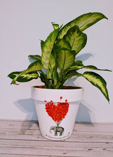 Elephant Personalised Plant Pot