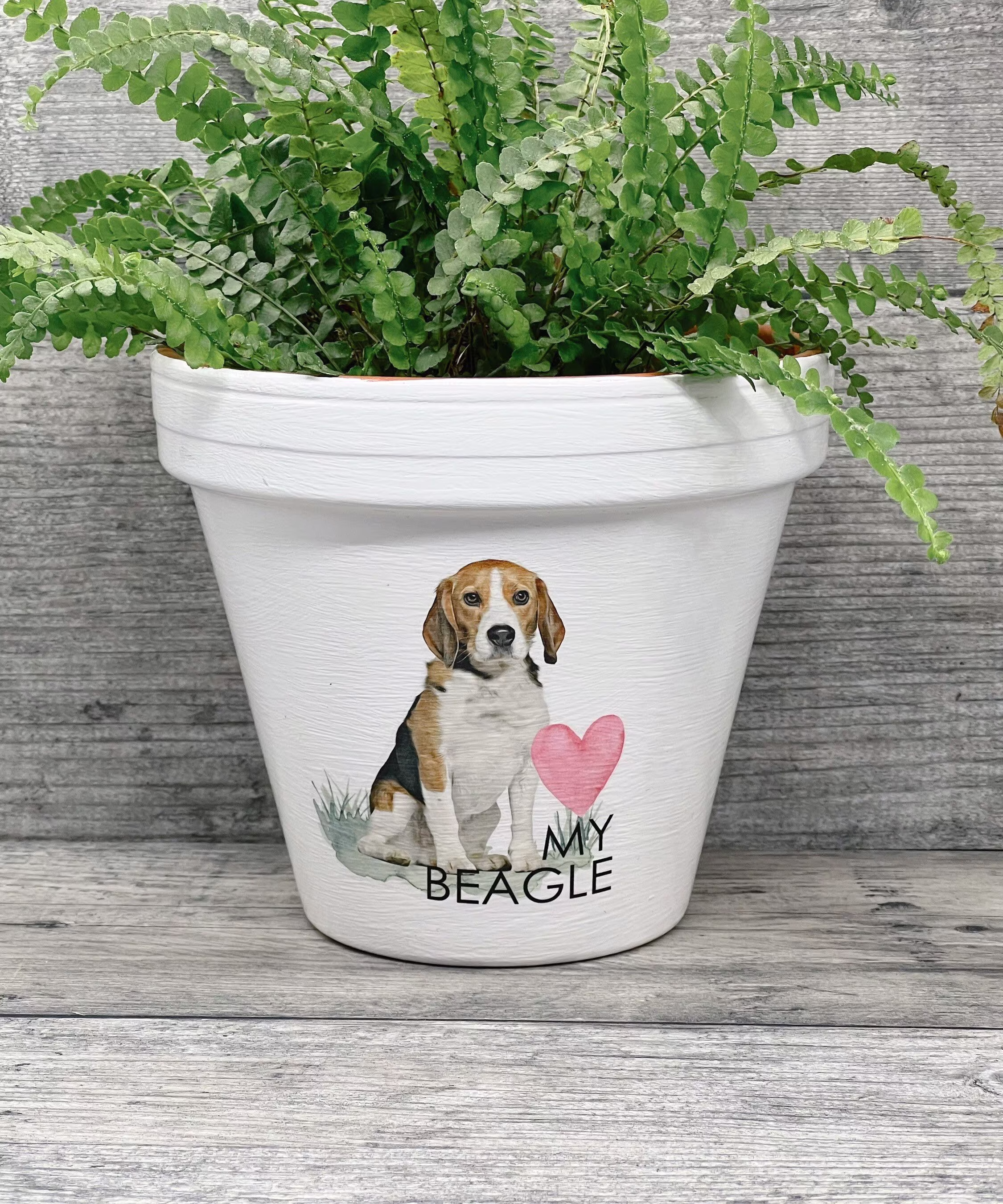 Personalised Beagle Dog Plant Pot Gift. Dog Memorial Keepsake Flower Planter. Lovers Birthday Present. Terracotta Pot