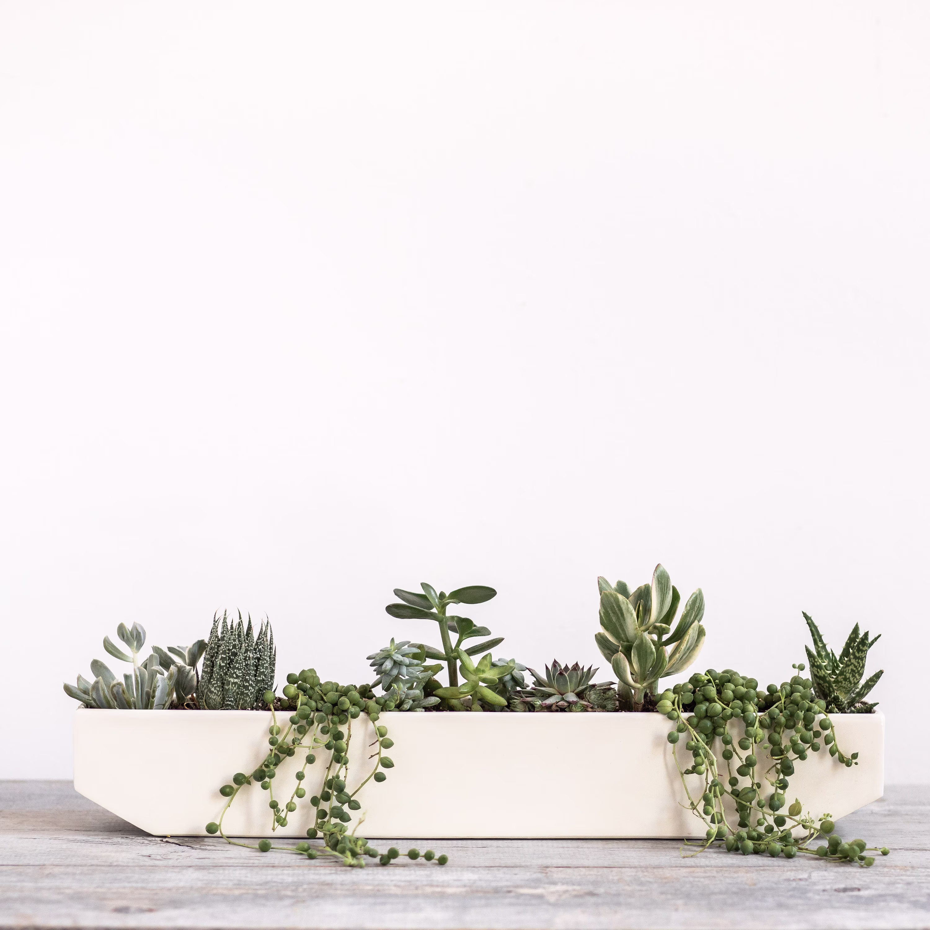 xl Linea Windowsill Planter