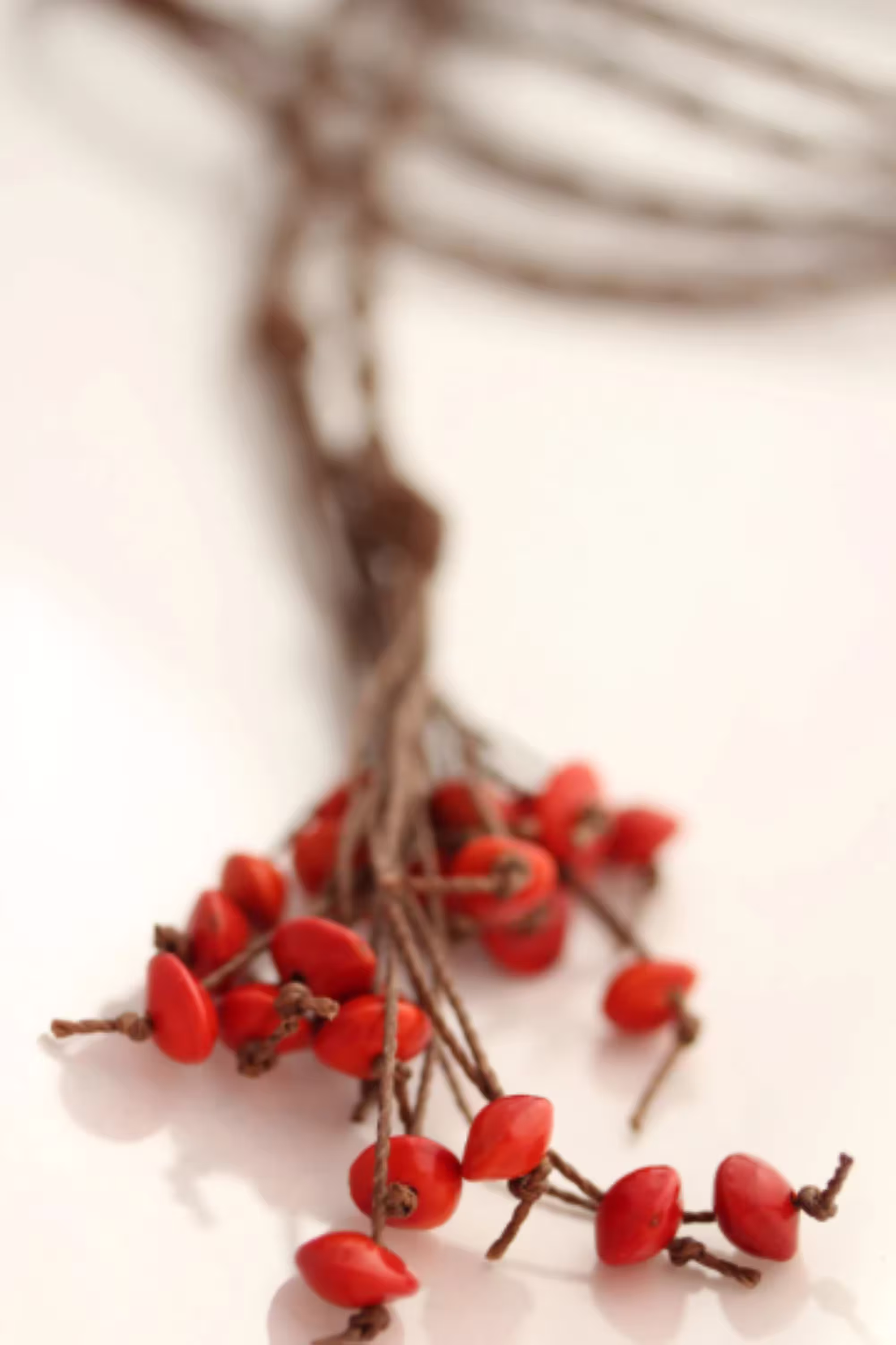 Red Seed Lariat