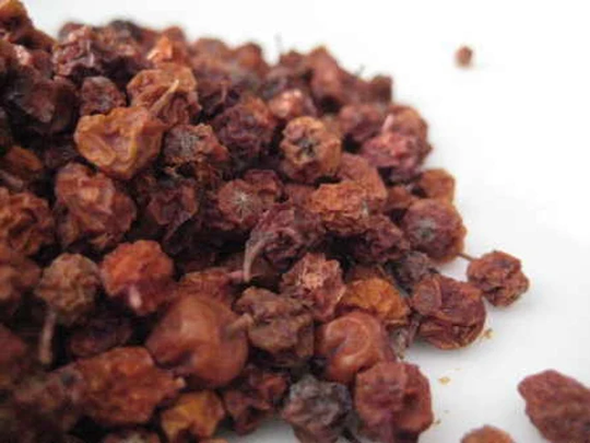Rowan Berries - Sorbus Aucuparia