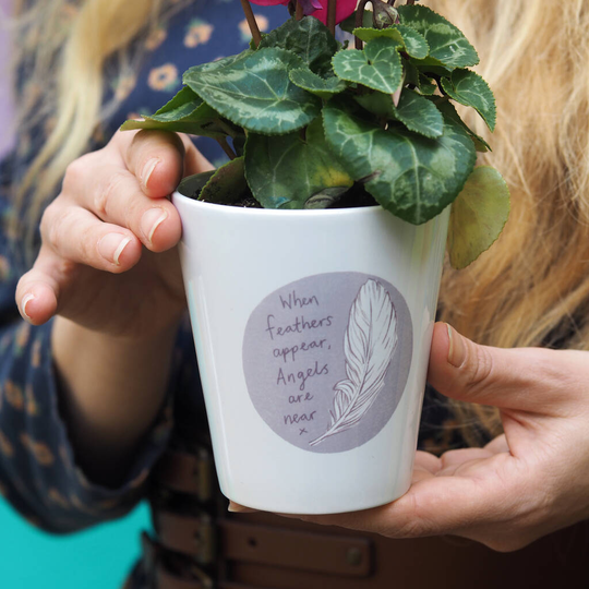 Feather Plant Pot Vase With Seeds