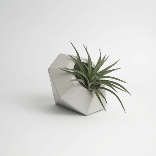 Diamond | Concrete Planter - Pot