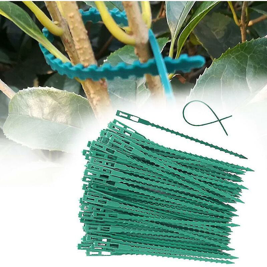 Fishbone Spur Green Landscape - Reusable Plastic Garden Planter (22CM-100 Pieces)