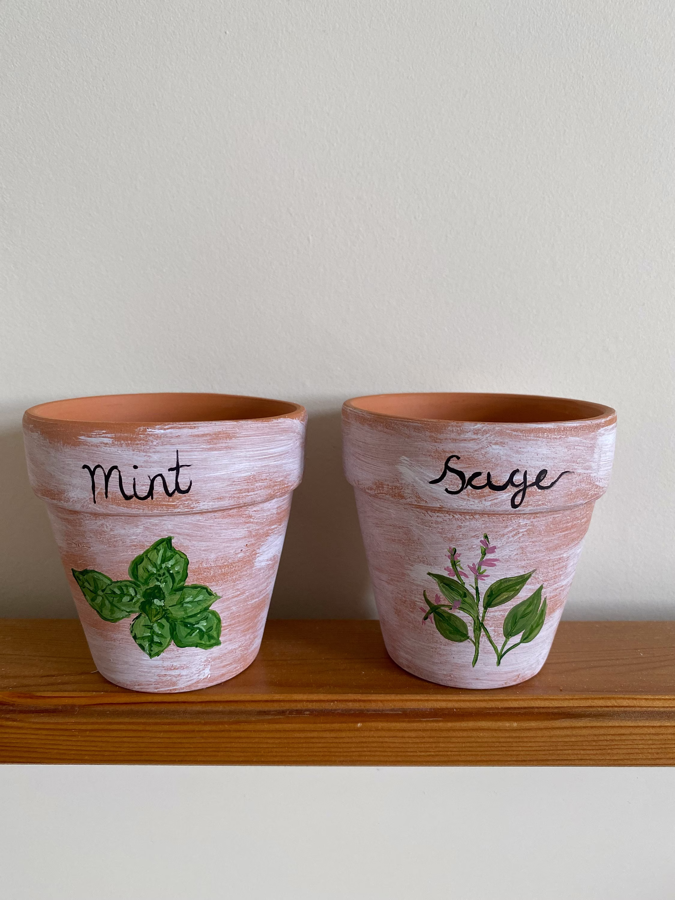 Hand Painted Mini Rustic Terracotta Herb Plant Pots With Or Without Seeds