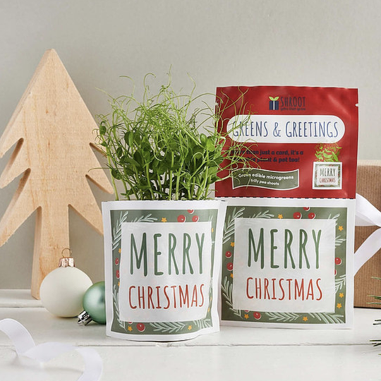 Grow A Christmas Card
