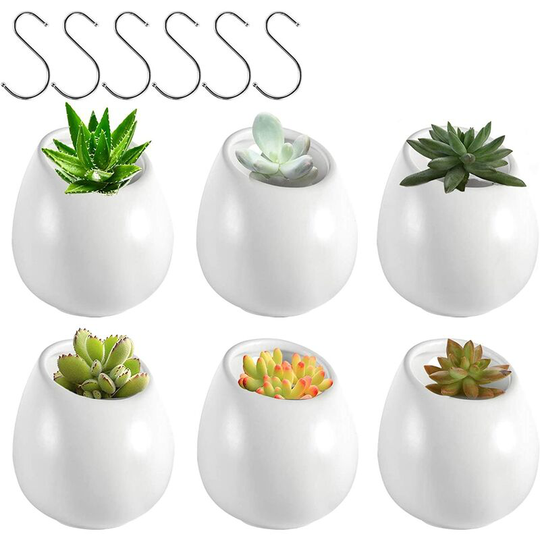 Wall Plant Holder, 5 inch Round Ceramic Wall Mounted Planters for Indoor Plants, Hanging Succulent Planters with 6 Hooks for Succulent Plants or Air