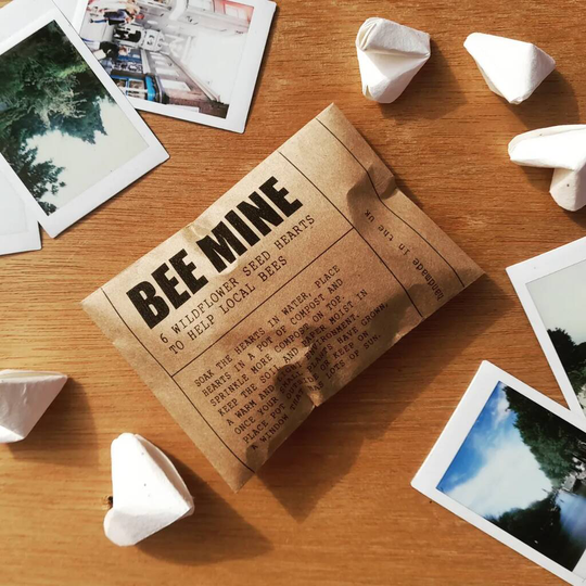 Origami 'Bee Mine' Wildflower Seed Heart Envelope