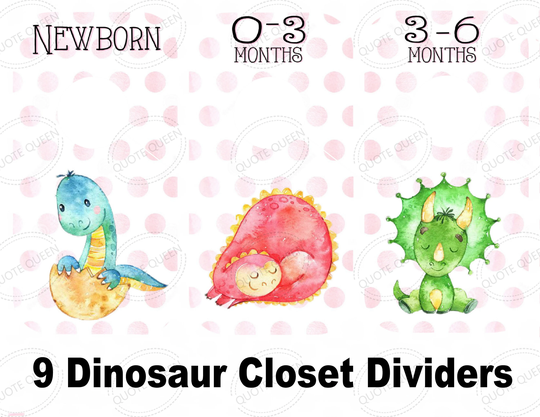 Dinosaur Clothes Dividers, Nursery Closet Pink Polka Dot, Baby Girl, Shower For Donosaur, Organizing, Organize