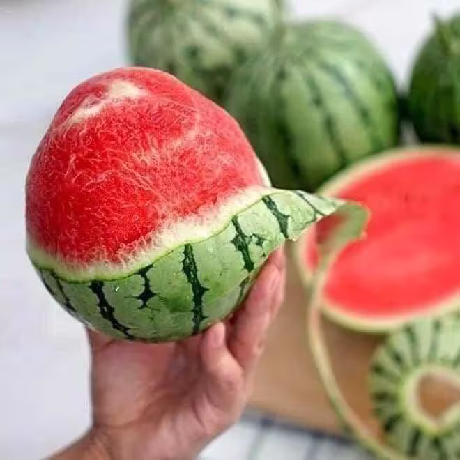 15 Apples Watermelon Seeds, Soft Shell, Soft Seeds, Cool Sweet Melon, Easy To Grow, Garden Plants
