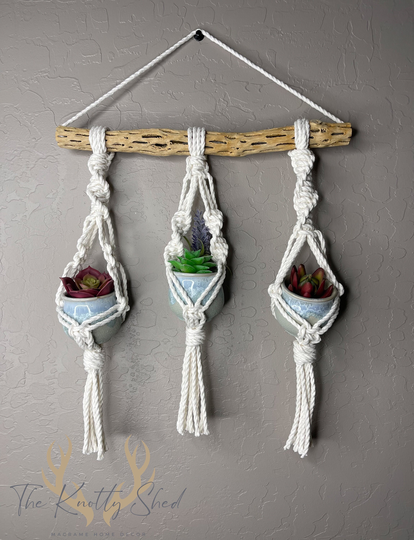 Macrame Succulent Hanger