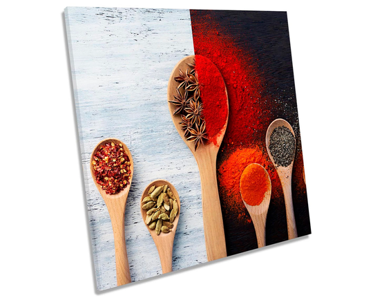 Black White Red Spices Kitchen Picture Canvas Wall Art Square Print