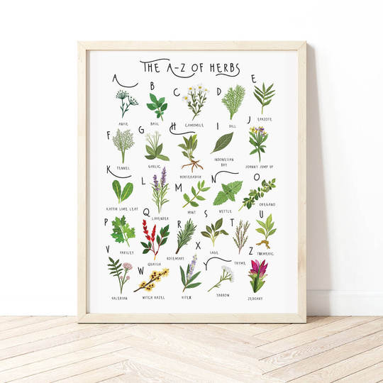 The A To Z Of Herbs Print