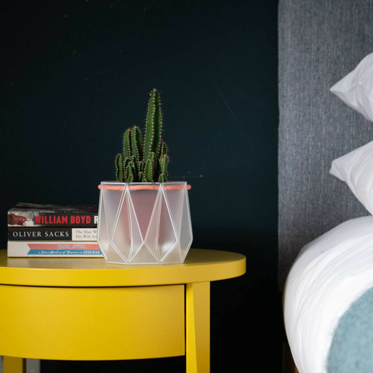 Origami Self Watering Eco Plant Pot: 10cm - Coral Cord
