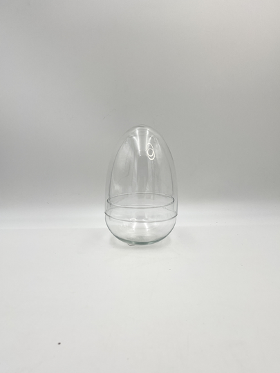 Terrarium Egg, Handmade Recycled Glass, Bowl With Egg Cover, H20 cm, D13.5 Terrarium Glass Vase, Glassware, Home Decor, Housewarming