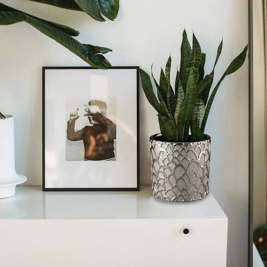 Set Of Two Silver Ceramic Plants Pot