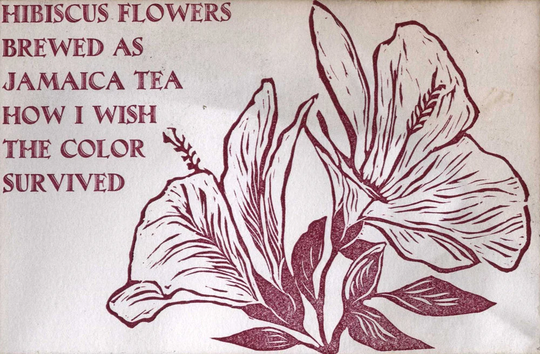 Hibiscus Flower Dyed Postcard