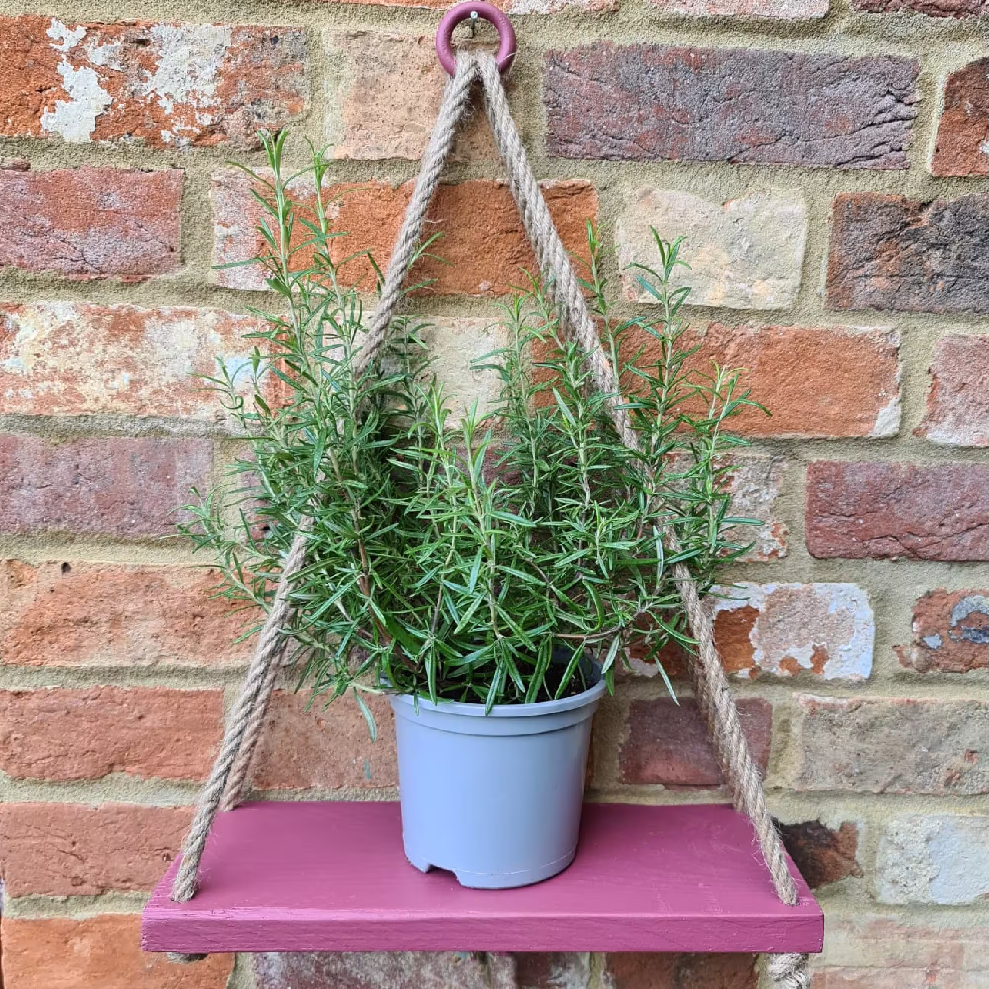 Painted Pink Wooden Hanging Rope Shelf For Garden Home Bathroom Handmade in The UK Using High Quality Rustic Wood & Rope
