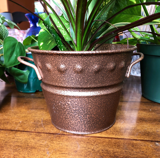 Decorative Pots For Plants 4.5