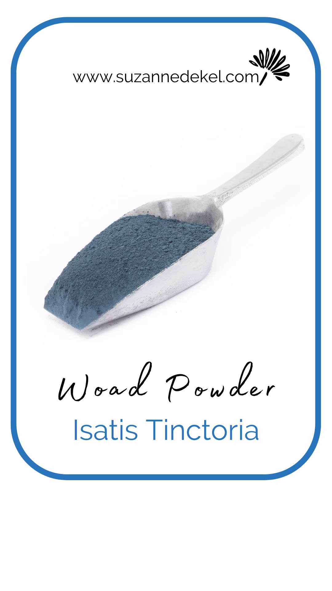 100Gr | 3.7 Oz Woad Extract - Isatis Tinctoria Natural Blue Pigment For & Indigo Vat Soap Making