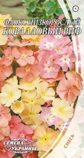 Rare Original Flower Seeds Phlox "Coral Reef